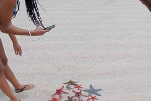 Diani: Robinson Islandin lasipohjainen venekierros