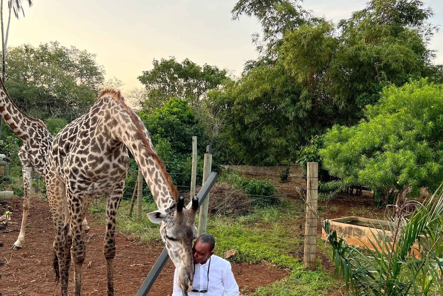 DIANI: JAA ATERIA KIRAHVIEN KANSSA