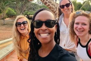 DIANI: SHARE A MEAL WITH GIRAFFES