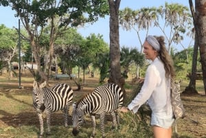 DIANI: SHARE A MEAL WITH GIRAFFES