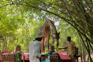 DIANI: JAA ATERIA KIRAHVIEN KANSSA