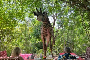 DIANI: JAA ATERIA KIRAHVIEN KANSSA