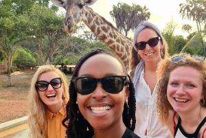 DIANI: JAA ATERIA KIRAHVIEN KANSSA