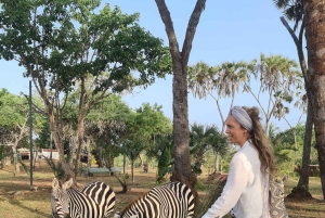 DIANI: JAA ATERIA KIRAHVIEN KANSSA