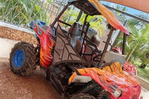 ディアニ：シンバ・ヒルズとムワブンゴ村の四輪バギー・アドベンチャーをお楽しみください