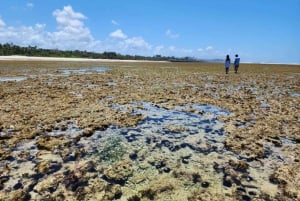Diani: Snorkeling and Swimming at African Pool in Tiwi Beach