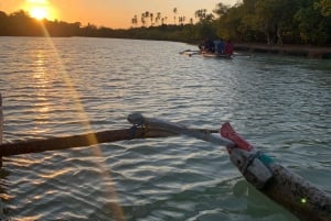 Diani: Kanotur ved solnedgang langs elven og mangrovetrærne