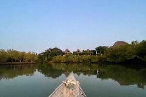 Diani: Tour in canoa al tramonto lungo il fiume con le mangrovie