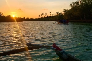 Diani: Kanotur ved solnedgang langs elven og mangrovetrærne