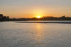 Diani: Solnedgångskryssning längs Kongofloden på träkanotbåt