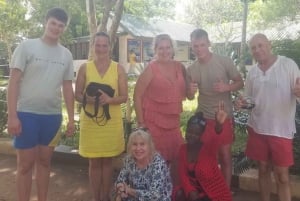 Diani: Wasini Island Dolphin Watching and Snorkeling Tour