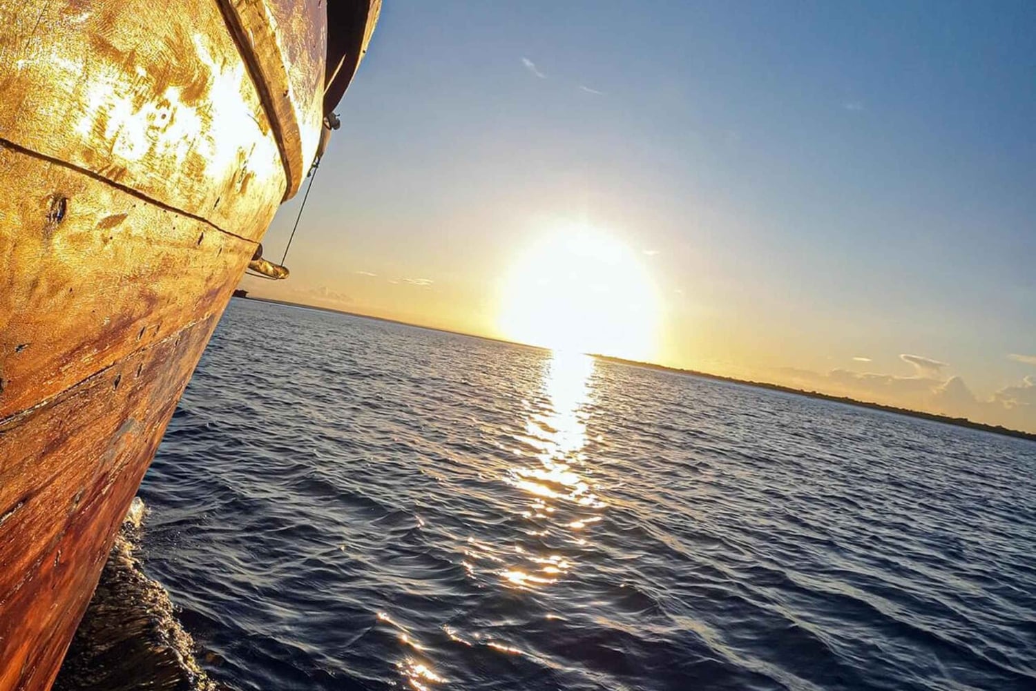 Diani: Solnedgångskryssning på Wasini Island med middag och dryck