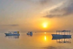 Diani: Solnedgångskryssning på Wasini Island med middag och dryck