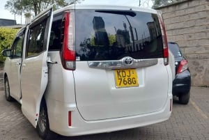 Playa de Diani: Traslado privado desde el aeropuerto o la estación de tren