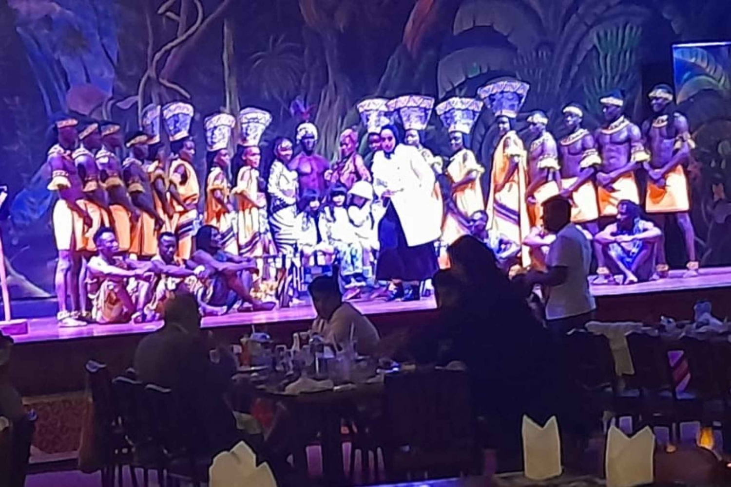 Dinner with live cat dance at Safari park hotel.