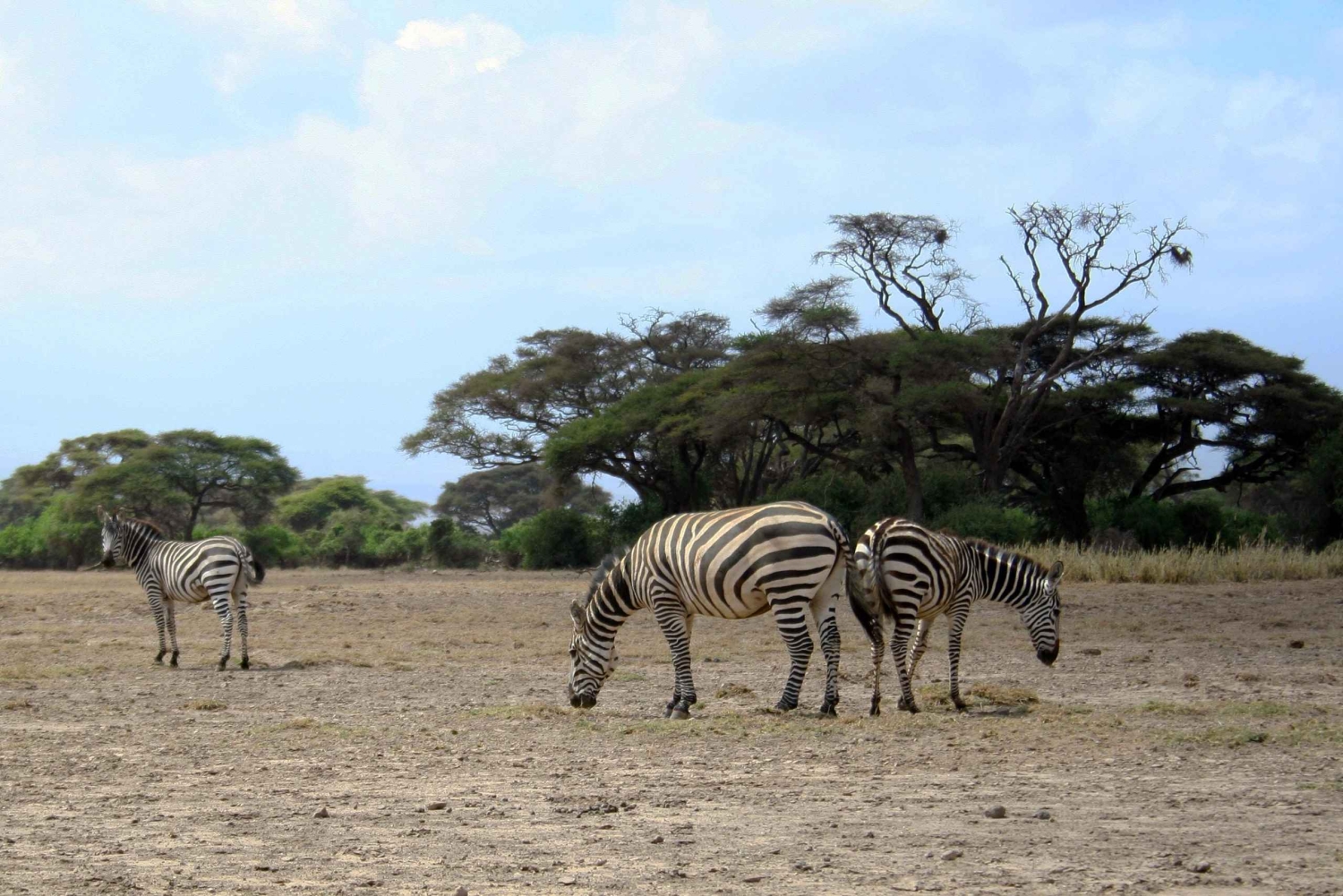 Discover the Beauty of Lake Nakuru 2 Days Mid Range Tour