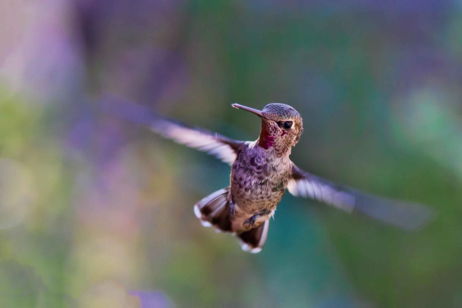 Discover the Beauty of Lake Nakuru 2 Days Mid Range Tour