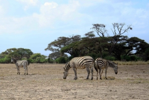 Discover the Beauty of Lake Nakuru 2 Days Mid Range Tour