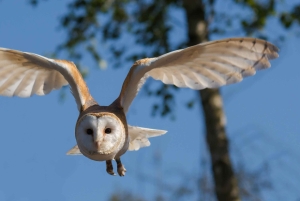 Discover the Beauty of Lake Nakuru 2 Days Mid Range Tour