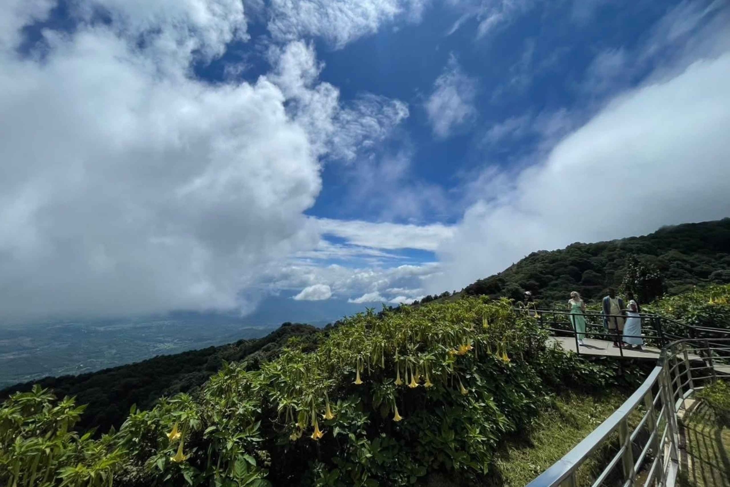 Doi Inthanon Karen Coffee Workshop & Village Life (No Trek)