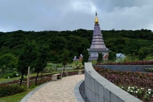 Doi Inthanon Karen Coffee Workshop & Village Life (No Trek)