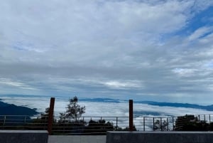 Doi Inthanon Karen Coffee Workshop & Village Life (No Trek)