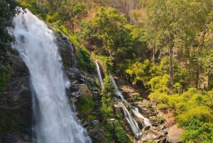 Doi Inthanon Karen Coffee Workshop & Village Life (No Trek)