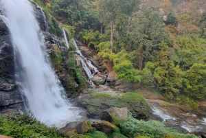 Doi Inthanon Karen Coffee Workshop & Village Life (No Trek)