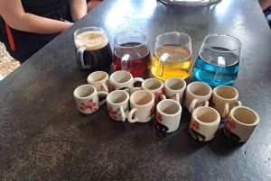 Doi Inthanon Karen Coffee Workshop & Village Life (No Trek)