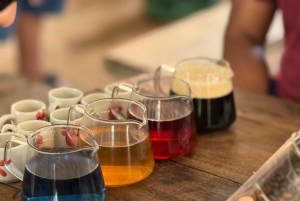 Doi Inthanon Karen Coffee Workshop & Village Life (No Trek)