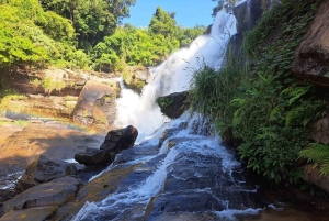 Doi Inthanon Karen Coffee Workshop & Village Life (No Trek)