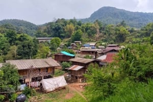 Doi Inthanon Karen Coffee Workshop & Village Life (No Trek)