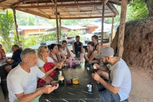 Doi Inthanon Karen Coffee Workshop & Village Life (No Trek)