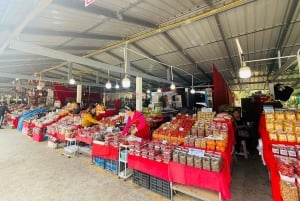 Doi Inthanon Karen Coffee Workshop & Village Life (No Trek)