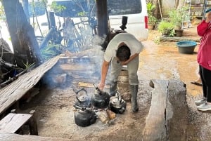 Doi Inthanon Karen Coffee Workshop & Village Life (No Trek)