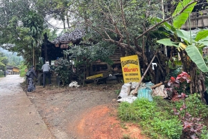 Doi Inthanon Karen Coffee Workshop & Village Life (No Trek)