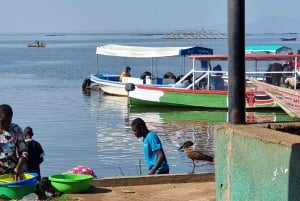 Kisumu: Dungan kalastajakylän kävelykierros paikallisen kanssa
