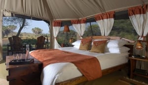 Elephant Bedroom Camp