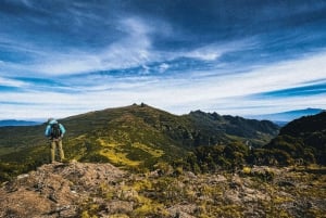 Caminhada nas Colinas dos Elefantes: aventura de 1 dia em Aberdares
