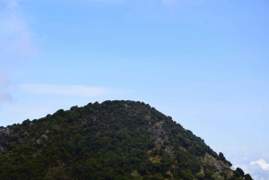 Caminhada nas Colinas dos Elefantes: aventura de 1 dia em Aberdares