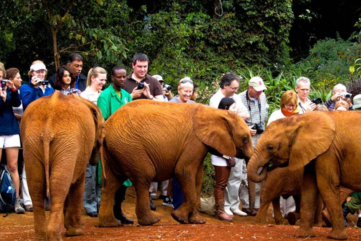 Dagsutflykt: Amboseli National Park & Maasai Village – Nairobi