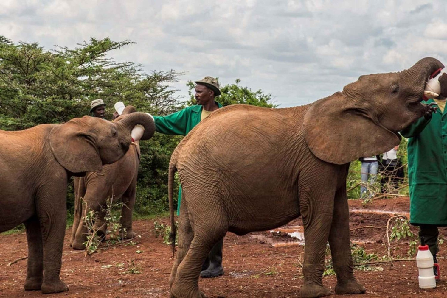 Dagsutflykt: Amboseli National Park & Maasai Village – Nairobi