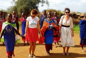 Elephant Orphanage Trust, Giraffes & Bomas of Kenya Day Tour