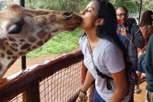 Elefantenwaisenhaus, Giraffe & Bomas von Kenia Tagestour
