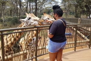 Olifantenweeshuis, Giraffe & Bomas of Kenya Day Tour
