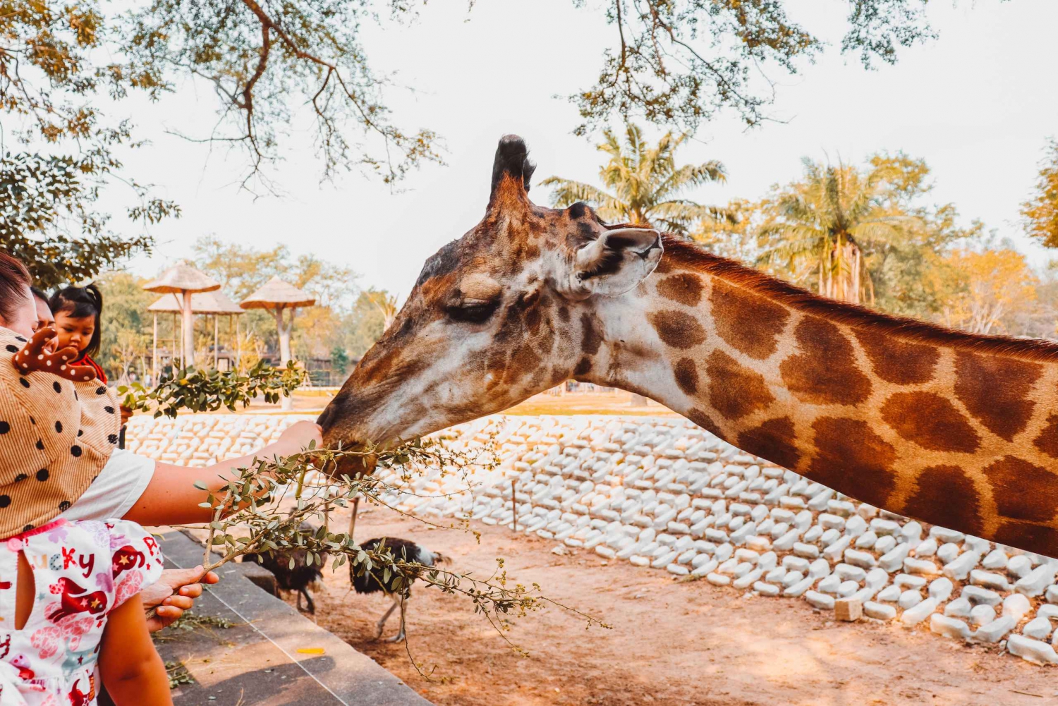 elephant Orphanage, Giraffe Center and Bomas of Kenya