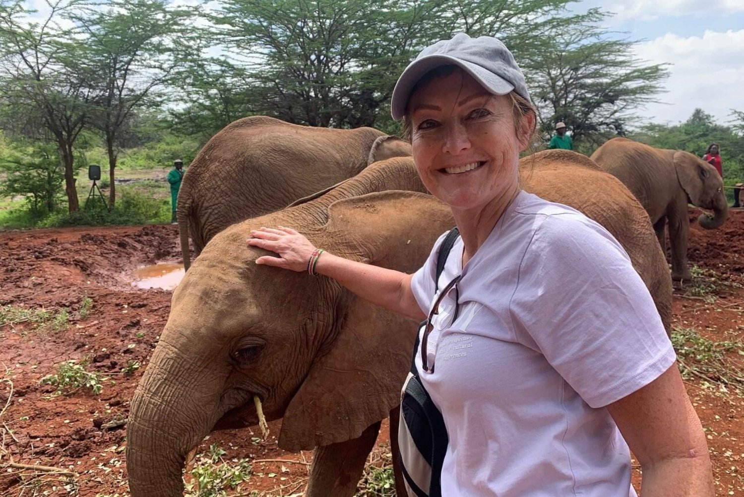 Orphelinat des éléphants, centre des girafes et parc national de Nairobi