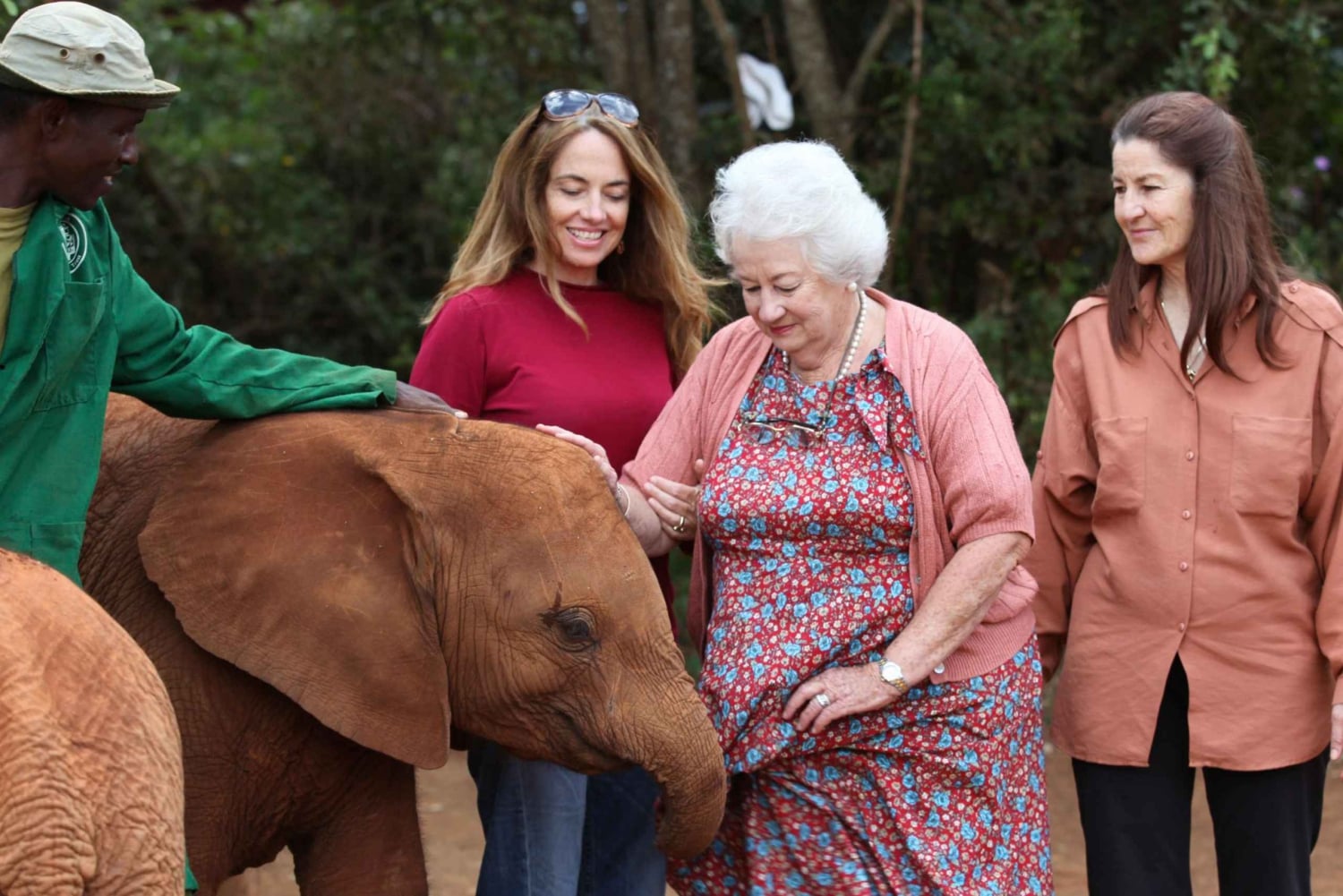 Orfanotrofio degli elefanti, centro delle giraffe e visita di un giorno di Karen Blixxen