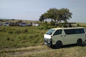 Orfanotrofio degli elefanti, centro delle giraffe e visita di un giorno di Karen Blixxen