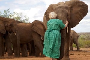 Orfanotrofio degli elefanti, centro delle giraffe e visita di un giorno di Karen Blixxen